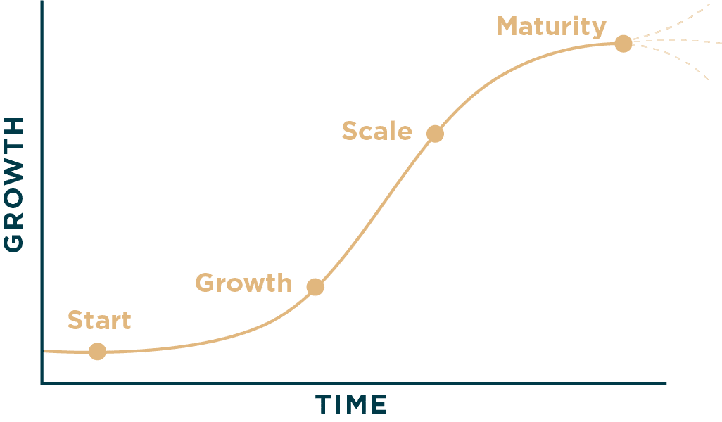 business growth curve model