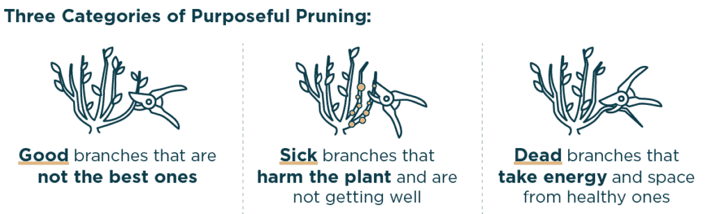pruning for business growth